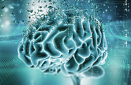 Institute stažavosi mokslininkė iš Lenkijos: pažanga taikant dirbtinį intelektą Alzheimerio ligos tyrimuose